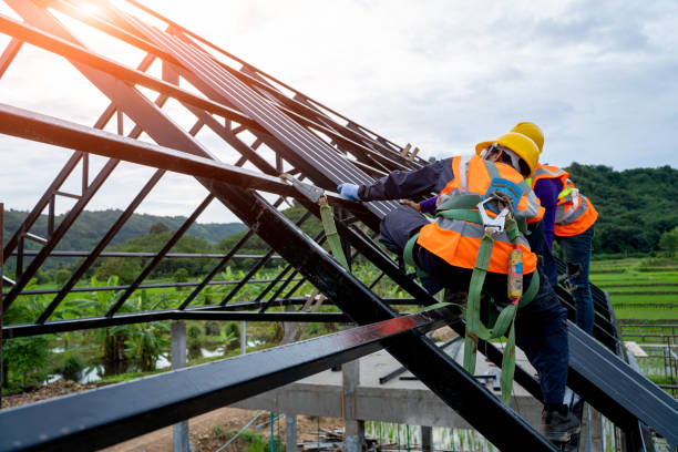 Best Affordable Roofing Company  in Ovid, MI