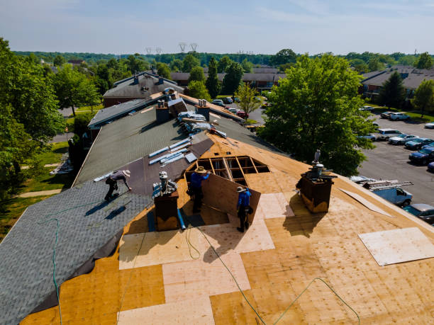 Best Roof Maintenance Services  in Ovid, MI