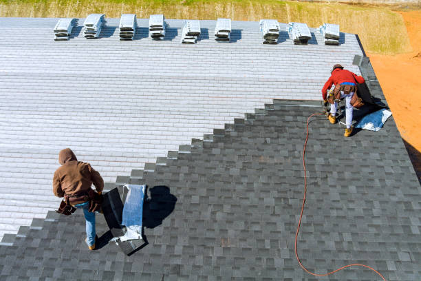 Best Roof Restoration Services  in Ovid, MI