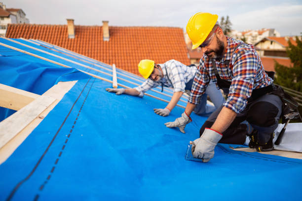 Best Roof Gutter Cleaning  in Ovid, MI
