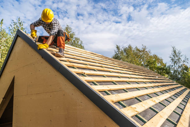 Best Emergency Roof Repair  in Ovid, MI