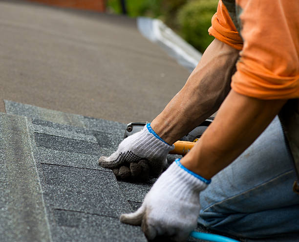 Best Affordable Roofing Company  in Ovid, MI