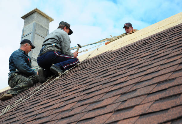 Best Roof Waterproofing Services  in Ovid, MI