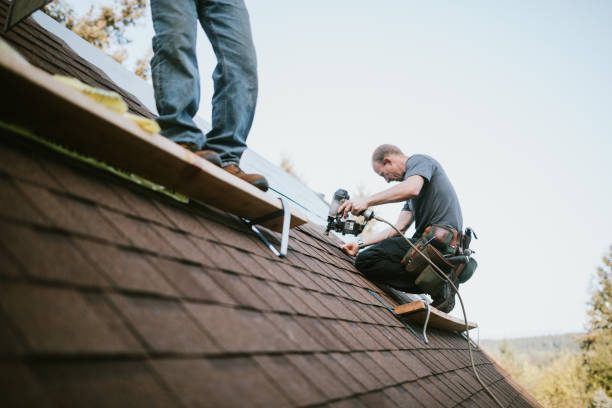 Best Metal Roofing Contractor  in Ovid, MI