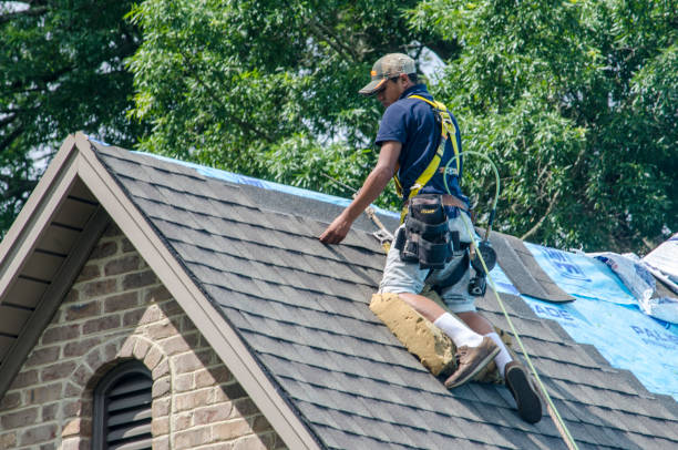 Professional Roofing Contractor in Ovid, MI