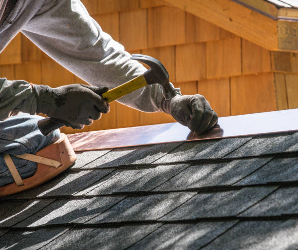 Best Residential Roofing Contractor  in Ovid, MI